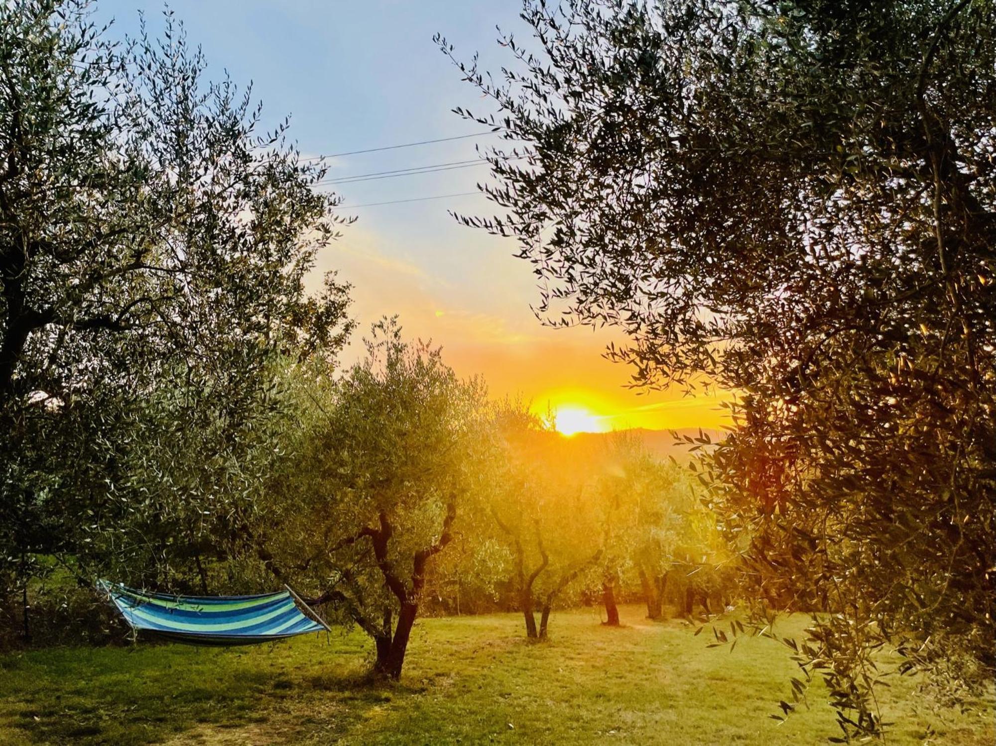 Agriturismo Casaviva Pozzo  Екстер'єр фото