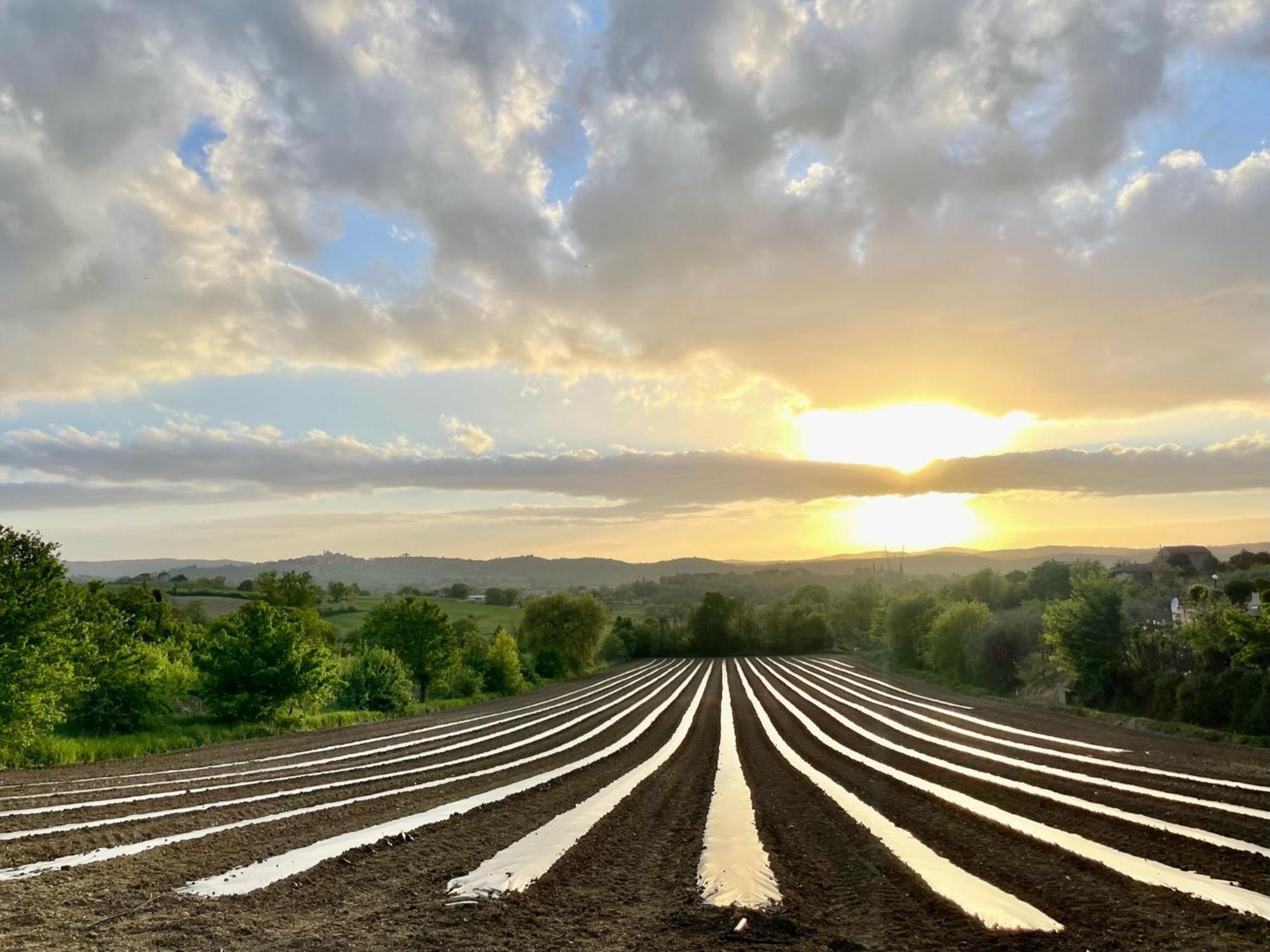 Agriturismo Casaviva Pozzo  Екстер'єр фото